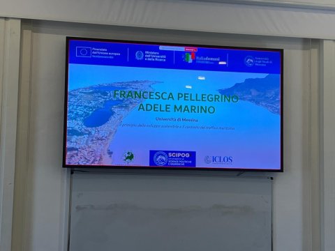 APPROCCI E PRINCIPI DI DIRITTO INTERNAZIONALE DELL'AMBIENTE E TUTELA DELL'ECOSISTEMA MARINO
