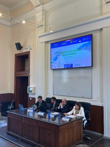 APPROCCI E PRINCIPI DI DIRITTO INTERNAZIONALE DELL'AMBIENTE E TUTELA DELL'ECOSISTEMA MARINO